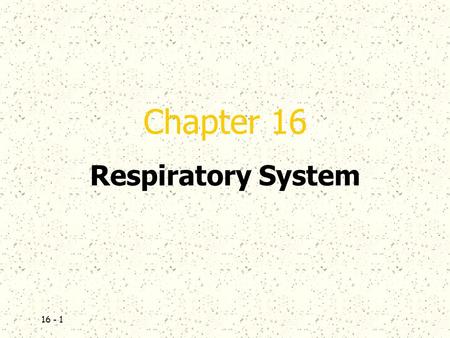 16 - 1 Chapter 16 Respiratory System. 16 - 2  Introduction  A.The respiratory system consists of tubes that filter incoming air and transport it into.