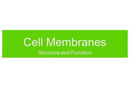 Cell Membranes Structure and Function. As a review, fill in the blanks: Molecules are made up of ___. Sugars link together to make ___. Amino acids link.