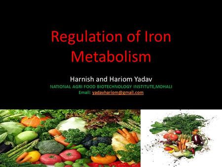 Regulation of Iron Metabolism Harnish and Hariom Yadav NATIONAL AGRI FOOD BIOTECHNOLOGY INSTITUTE,MOHALI