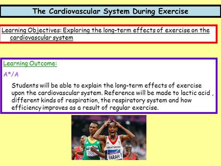 The Cardiovascular System During Exercise Learning Objectives: Exploring the long-term effects of exercise on the cardiovascular system Learning Outcome: