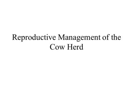 Reproductive Management of the Cow Herd