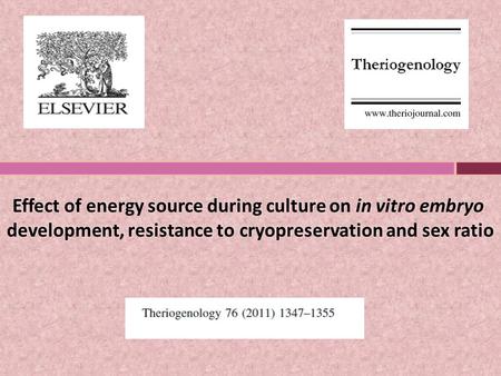Effect of energy source during culture on in vitro embryo development, resistance to cryopreservation and sex ratio.