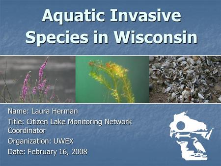 Aquatic Invasive Species in Wisconsin Name: Laura Herman Title: Citizen Lake Monitoring Network Coordinator Organization: UWEX Date: February 16, 2008.