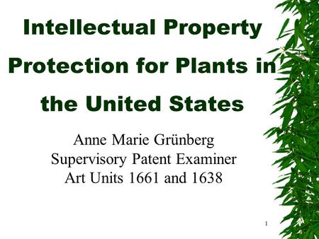 1 Intellectual Property Protection for Plants in the United States Anne Marie Grünberg Supervisory Patent Examiner Art Units 1661 and 1638.