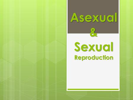Asexual & Sexual Reproduction. Asexual Reproduction  Type of reproduction in which a new organism is produced from ONE parent and the offspring is identical.
