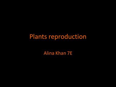 Plants reproduction Alina Khan 7E. Asexual Reproduction Binary fission in bacteria Spore formation Examples: Building in yeast and hydra Vegetative propagation.