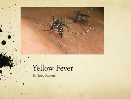 Yellow Fever By joey Rosen.