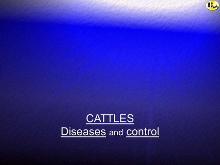 CATTLES Diseases and control. Common Diseases and control Cattle are subjected to a large number of diseases. Cattle in normal health appear bright, alert.