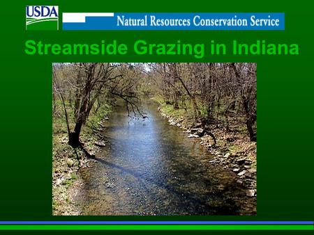 Streamside Grazing in Indiana. Indiana Streams: Are a precious natural resource Provide clean water for a variety of human uses as well as habitat for.