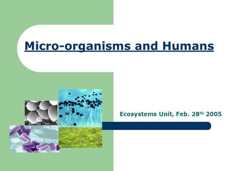 Micro-organisms and Humans Ecosystems Unit, Feb. 28 th 2005.