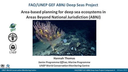 20 June 2015 UNEP-World Conservation Monitoring Centre FAO/UNEP GEF ABNJ Deep Seas Project Component 4 FAO/UNEP GEF ABNJ Deep Seas Project Area-based planning.