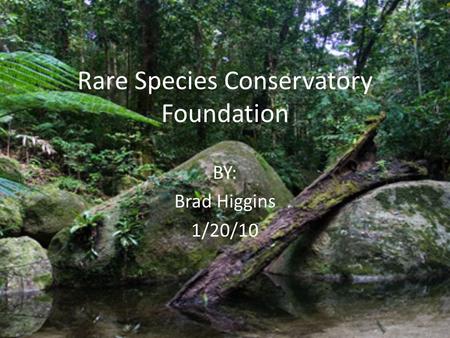 Rare Species Conservatory Foundation BY: Brad Higgins 1/20/10.
