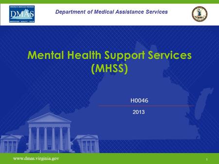 Mental Health Support Services (MHSS)