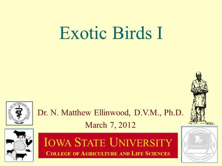 Exotic Birds I Dr. N. Matthew Ellinwood, D.V.M., Ph.D. March 7, 2012 I OWA S TATE U NIVERSITY C OLLEGE OF A GRICULTURE AND L IFE S CIENCES.