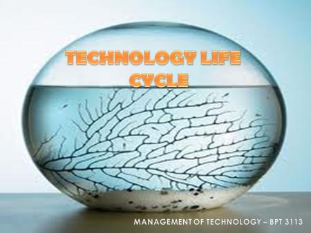 MANAGEMENT OF TECHNOLOGY – BPT 3113