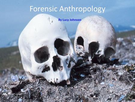 By Lucy Johnson Forensic Anthropology By Lucy Johnson.