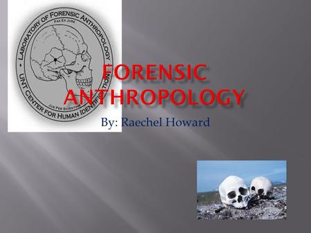 By: Raechel Howard.  Forensic anthropology is the application of the science of physical or biological anthropology to the legal process. Physical or.