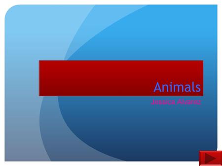 Animals Jessica Alvarez. Teacher Information Subject Mathematics Grade level-1 st Summary: The purpose of this power point is to allow the student to.