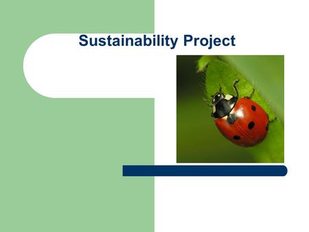 Sustainability Project. ladybird This bright little insect (also called lady-cow or Bishop Barnaby) is said to bring luck if it alights on someone, and.