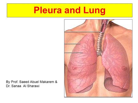 Pleura and Lung By Prof. Saeed Abuel Makarem & Dr. Sanaa Al Sharawi.