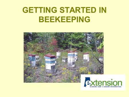 GETTING STARTED IN BEEKEEPING. THINGS TO CONSIDER Level of commitment Cost Location/Liability Equipment Resources.