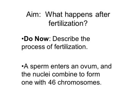 Aim: What happens after fertilization? Do Now: Describe the process of fertilization. A sperm enters an ovum, and the nuclei combine to form one with 46.