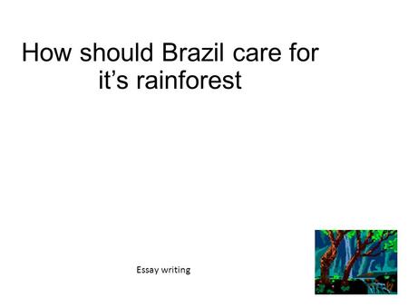 How should Brazil care for it’s rainforest Essay writing.