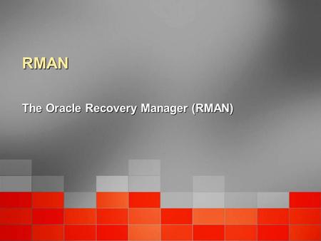 The Oracle Recovery Manager (RMAN)