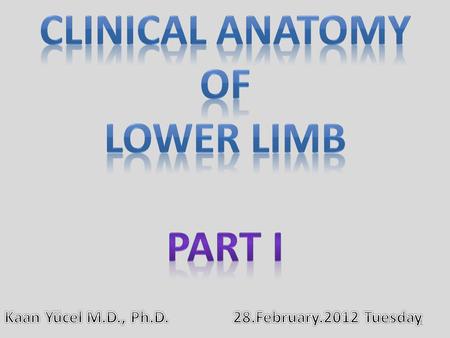 CLINICAL ANATOMY OF LOWER LIMB PART I