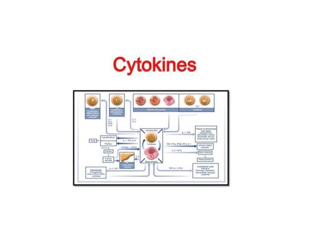 Cytokines.