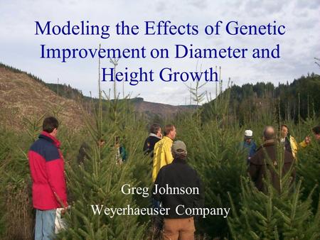 Modeling the Effects of Genetic Improvement on Diameter and Height Growth Greg Johnson Weyerhaeuser Company.