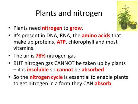 Plants and nitrogen Plants need nitrogen to grow. It’s present in DNA, RNA, the amino acids that make up proteins, ATP, chlorophyll and most vitamins.
