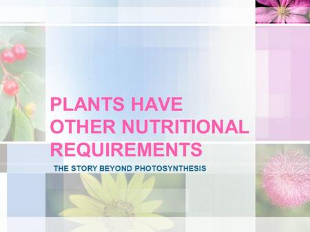 PLANTS HAVE OTHER NUTRITIONAL REQUIREMENTS THE STORY BEYOND PHOTOSYNTHESIS.
