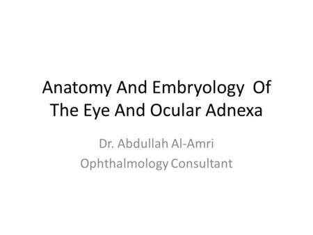 Anatomy And Embryology Of The Eye And Ocular Adnexa