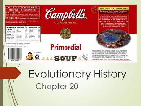 Evolutionary History Chapter 20. Before life…  Chemical evolution:  The formation of small organic molecules preceded larger ones  Larger, more complex.