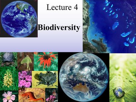 Lecture 4 Biodiversity.