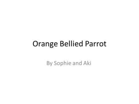 Orange Bellied Parrot By Sophie and Aki.