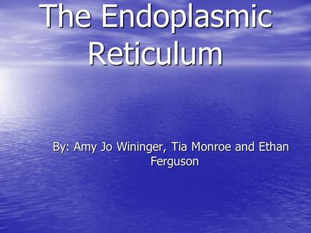 The Endoplasmic Reticulum By: Amy Jo Wininger, Tia Monroe and Ethan Ferguson.