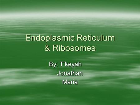 Endoplasmic Reticulum & Ribosomes By: T’keyah JonathanMaria.