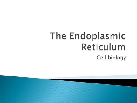 Cell biology.  The endoplasmic reticulum is an eukaryotic organelle that forms an interconnected network of tubules, vesicles, and cisternae within cells.
