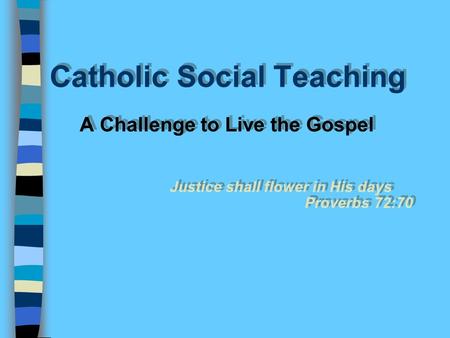 Catholic Social Teaching A Challenge to Live the Gospel Justice shall flower in His days Proverbs 72:70 A Challenge to Live the Gospel Justice shall flower.