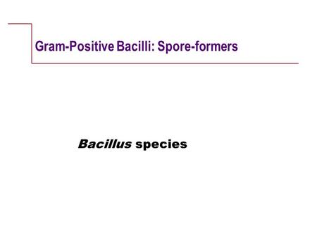 Gram-Positive Bacilli: Spore-formers