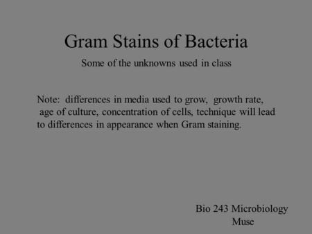 Gram Stains of Bacteria