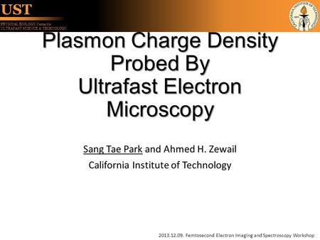 Plasmon Charge Density Probed By Ultrafast Electron Microscopy
