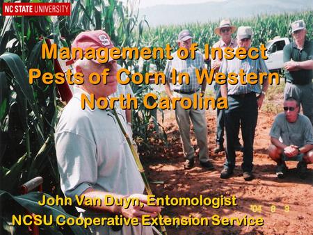 Management of Insect Pests of Corn In Western North Carolina John Van Duyn, Entomologist NCSU Cooperative Extension Service John Van Duyn, Entomologist.