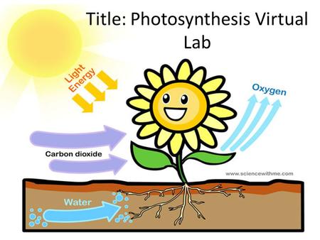 Title: Photosynthesis Virtual Lab. Instructions for Lab Write the Headings for each section. Write the information that follows each heading.