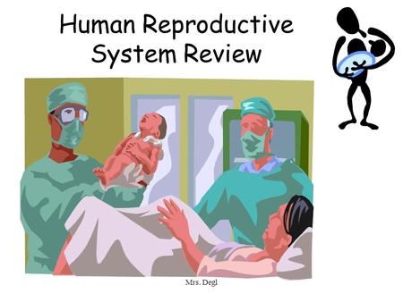 Mrs. Degl Human Reproductive System Review. Mrs. Degl Male Reproductive System.