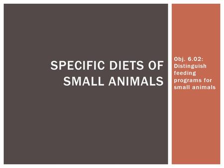 Obj. 6.02: Distinguish feeding programs for small animals SPECIFIC DIETS OF SMALL ANIMALS.