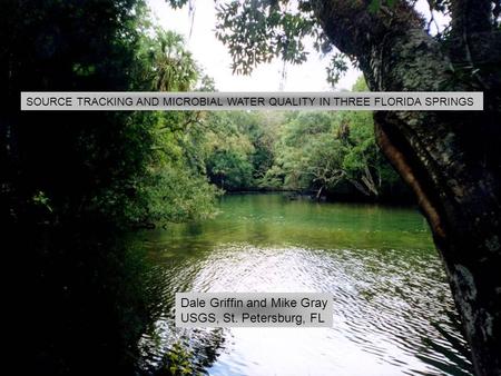 SOURCE TRACKING AND MICROBIAL WATER QUALITY IN THREE FLORIDA SPRINGS Dale Griffin and Mike Gray USGS, St. Petersburg, FL.