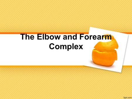 The Elbow and Forearm Complex